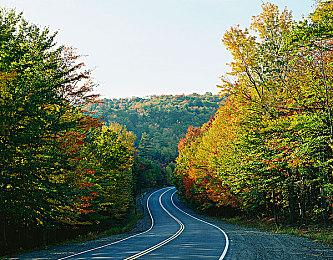 《炼金工房OL~布雷塞尔的炼金术士~》3月31日日本正式停服